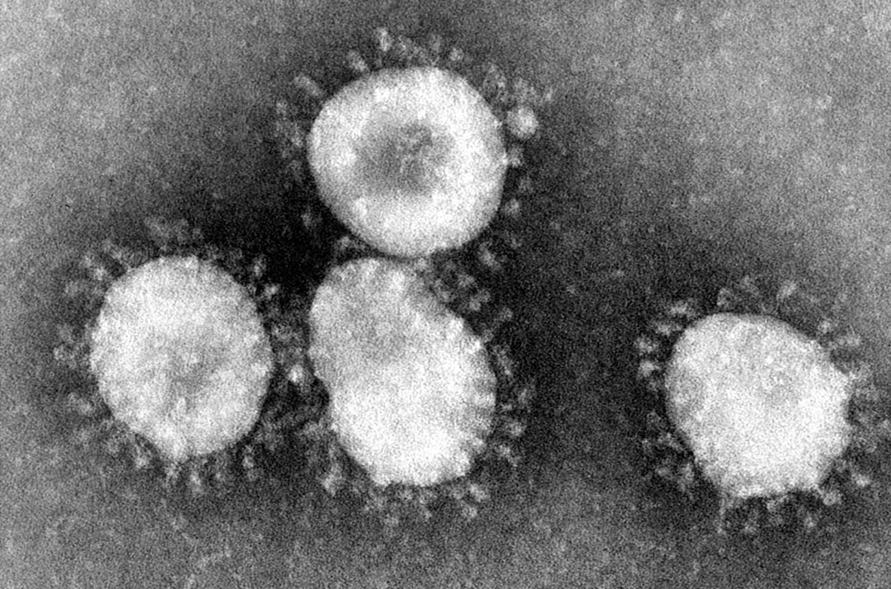 コロナウィルスは英語で「coronavirus」