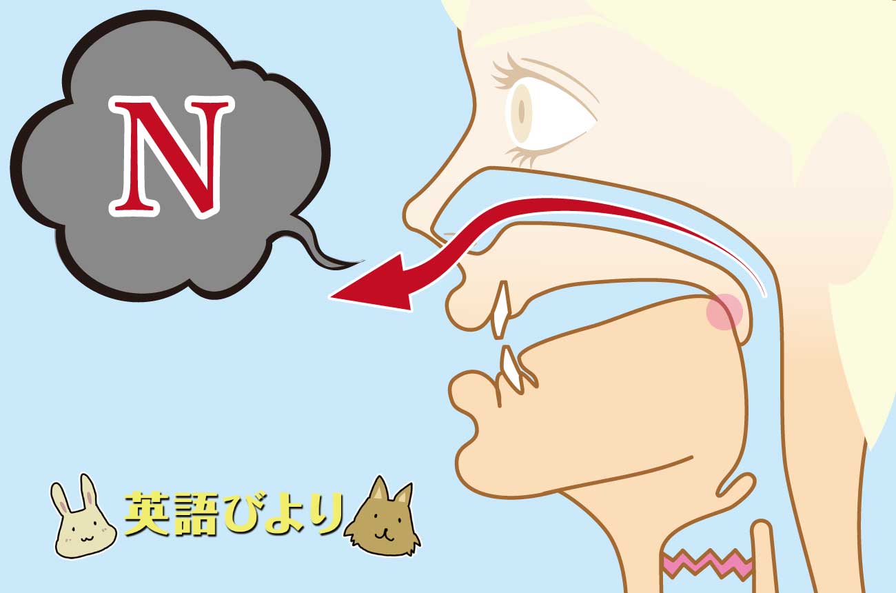 「 N 」の発音