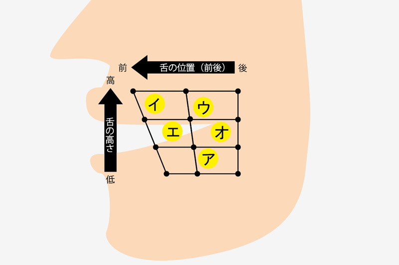 日本語の母音の場所