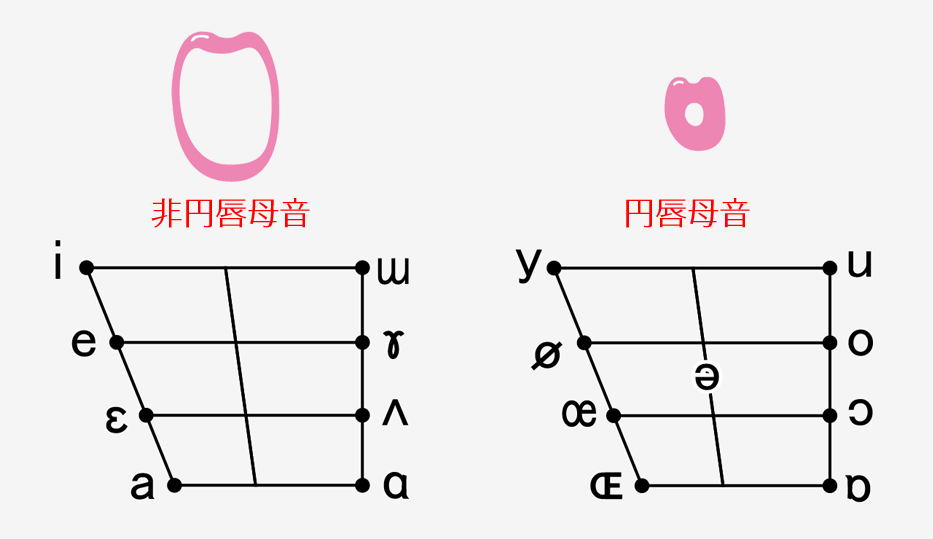 非円唇母音と円唇母音の図