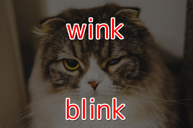 ウィンカー は和製英語で Wink と Blink を知って納得した話 英語びより
