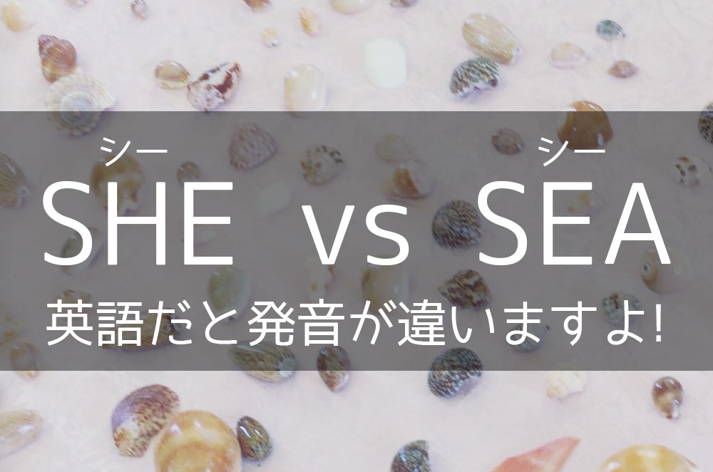 Sea と She の発音の違いとは スィー と シー について 英語びより