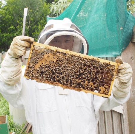 養蜂家もしています