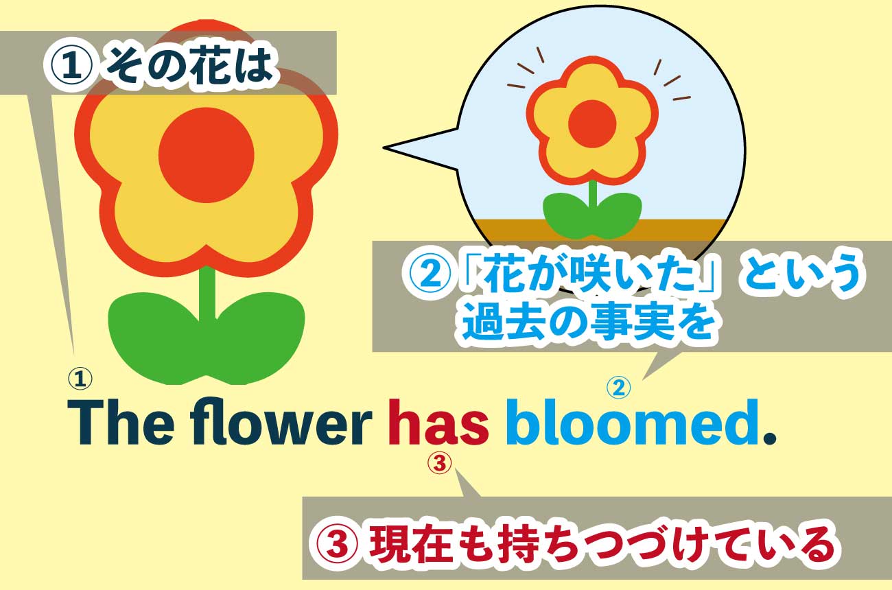 (1)その花は (2)咲いたのはいつかわからないけど花が咲いているその状態を (3)今も持っている