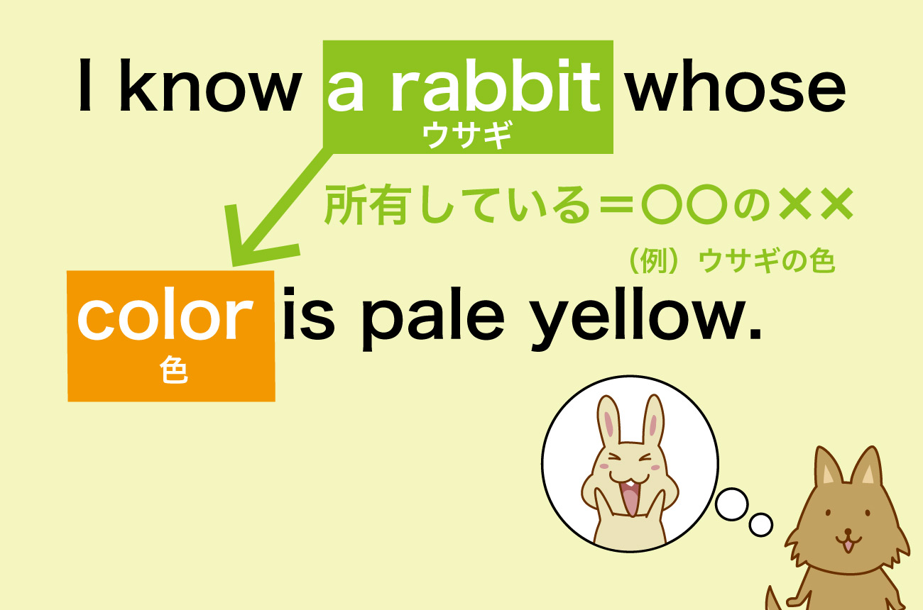 「a rabbit」が「color」を所有している図