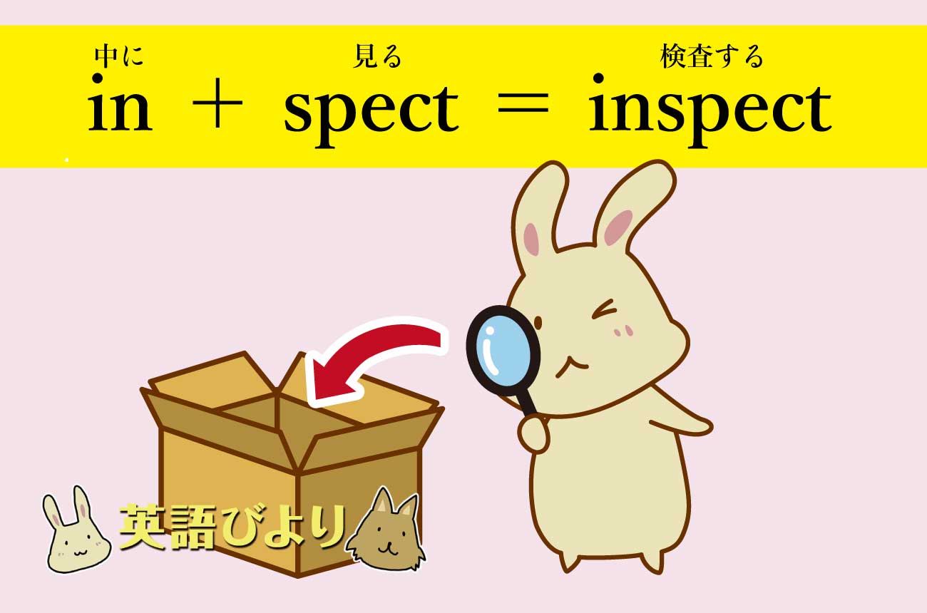 「in（中に）」＋「spect（見る）」＝「inspect（検査する）」